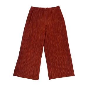 Madewell Plissé wide leg pants rust burnt orange color high rise elastic waist